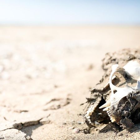 Skeleton Beach Backpackers Swakopmund Bagian luar foto